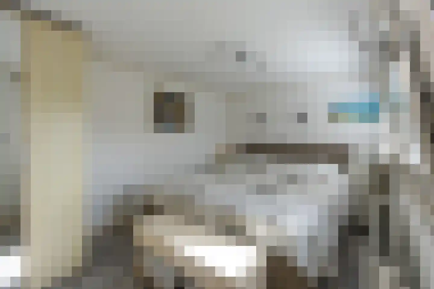 Jachtlaan 2 x Scharendijke thumbnail 26