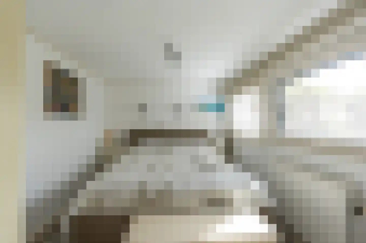 Jachtlaan 2 x Scharendijke thumbnail 27