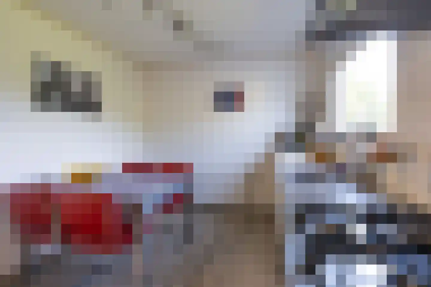 Jachtlaan 2 x Scharendijke thumbnail 31