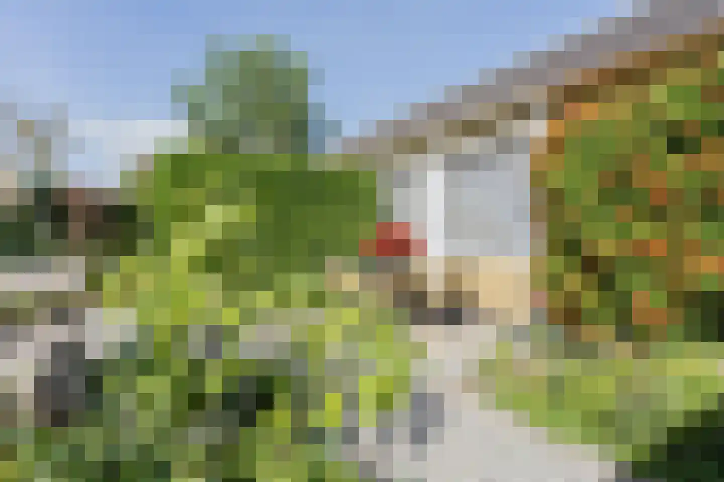 Jachtlaan 2 x Scharendijke thumbnail 46