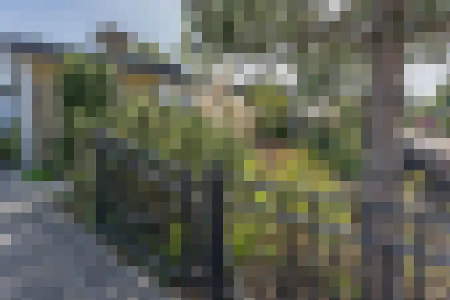 Jachtlaan 2 x Scharendijke thumbnail 54