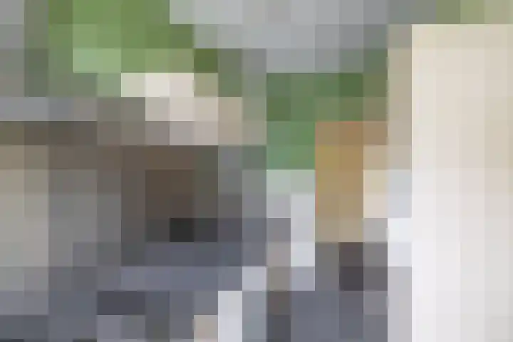 Jachtlaan 20 Delfzijl thumbnail 20