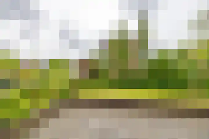 Jachtlaan 20 Delfzijl thumbnail 25