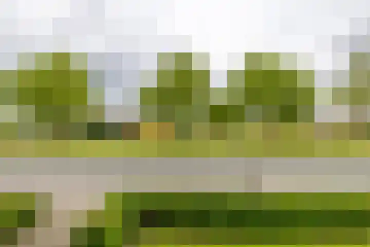 Jachtlaan 20 Delfzijl thumbnail 29