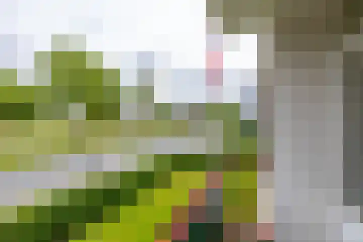 Jachtlaan 20 Delfzijl thumbnail 31
