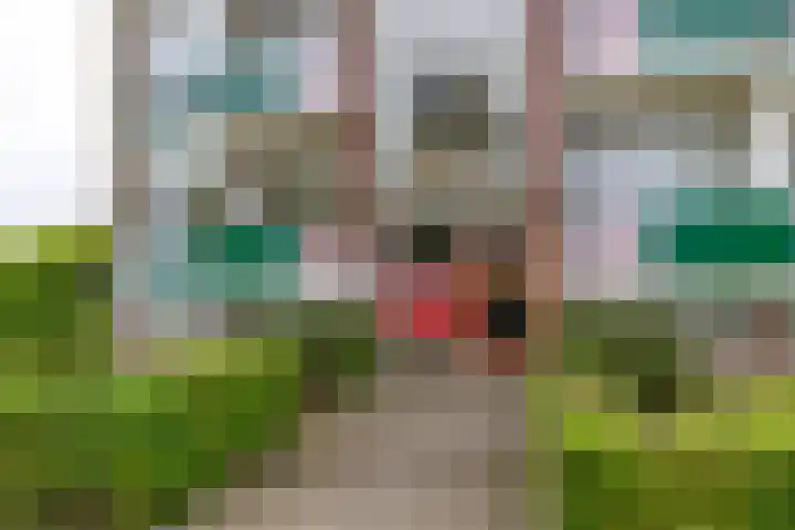 Jachtlaan 20 Delfzijl thumbnail 4