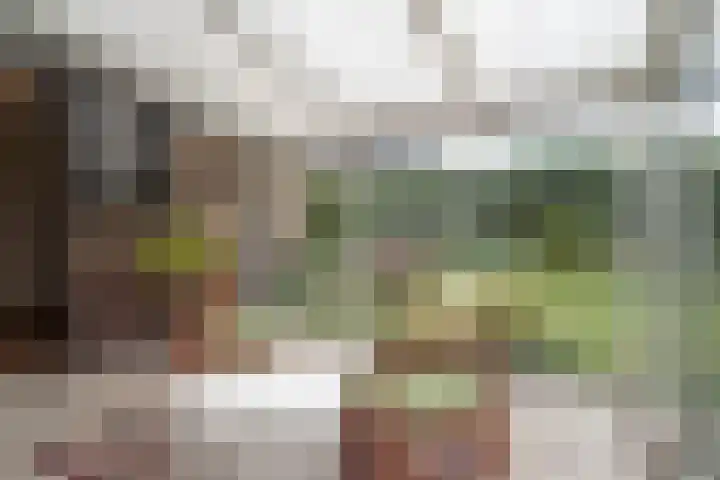 Jachtlaan 21 Haren Gn thumbnail 26