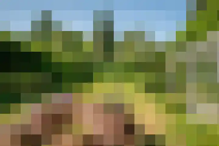Jachtlaan 21 Haren Gn thumbnail 44
