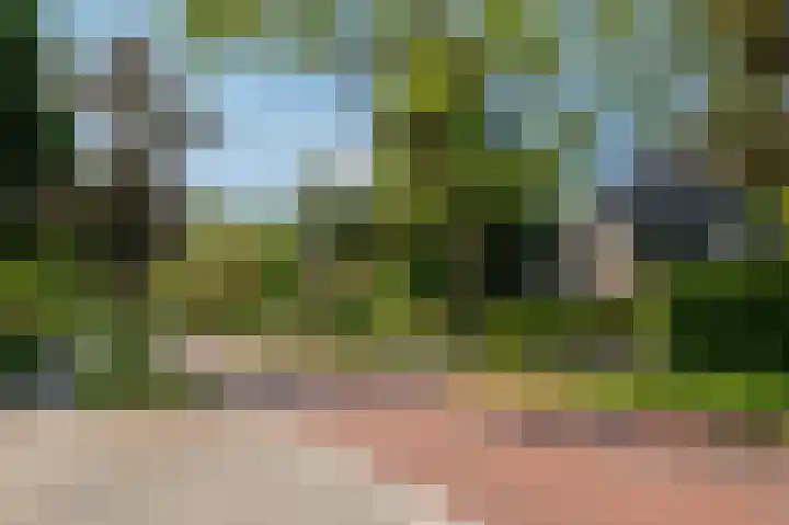 Jachtlaan 21 Haren Gn thumbnail 8