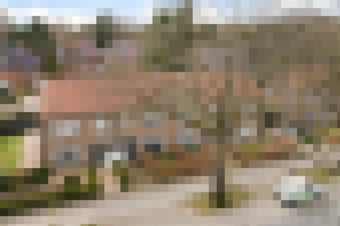Jachtlaan 210 Apeldoorn thumbnail 38