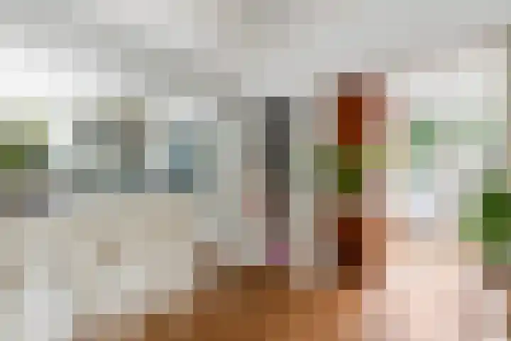 Jachtlaan 215 Apeldoorn thumbnail 12