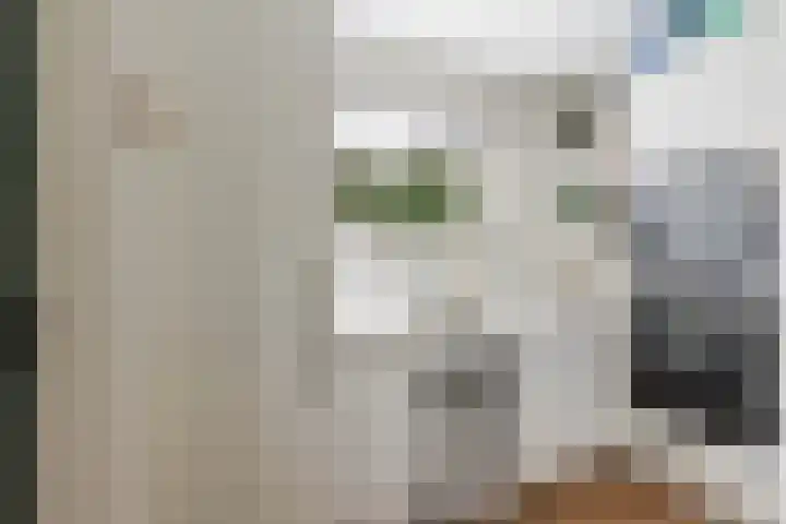 Jachtlaan 215 Apeldoorn thumbnail 20