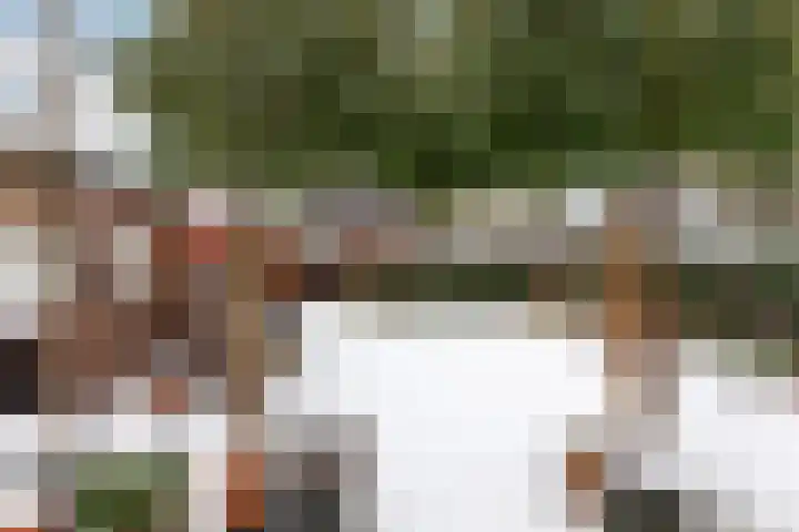Jachtlaan 215 Apeldoorn thumbnail 22