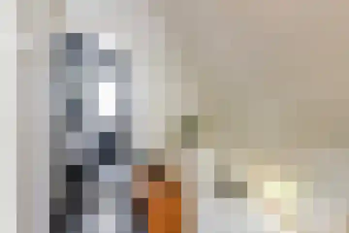 Jachtlaan 215 Apeldoorn thumbnail 34