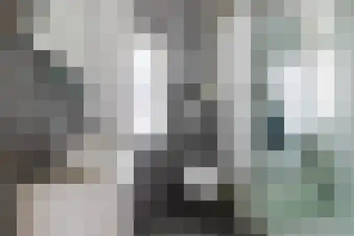 Jachtlaan 215 Apeldoorn thumbnail 37