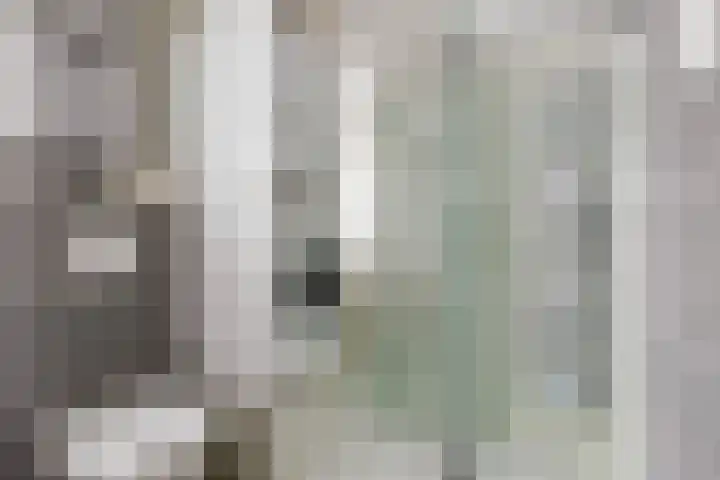 Jachtlaan 215 Apeldoorn thumbnail 39