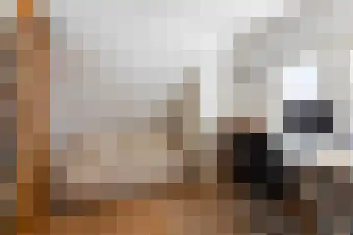 Jachtlaan 215 Apeldoorn thumbnail 41