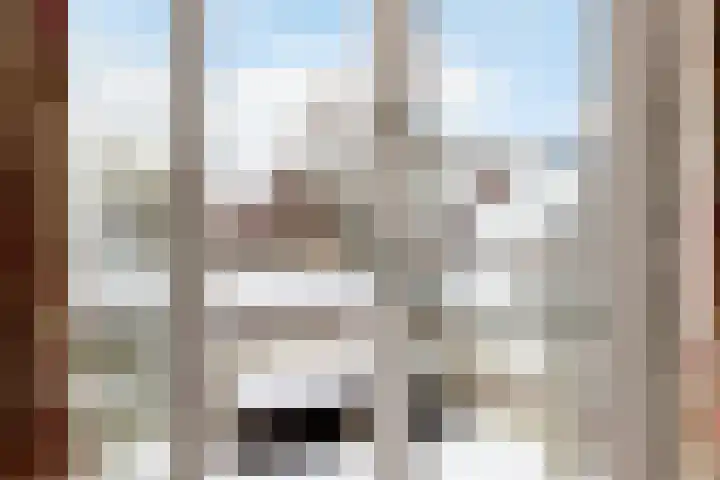 Jachtlaan 215 Apeldoorn thumbnail 43