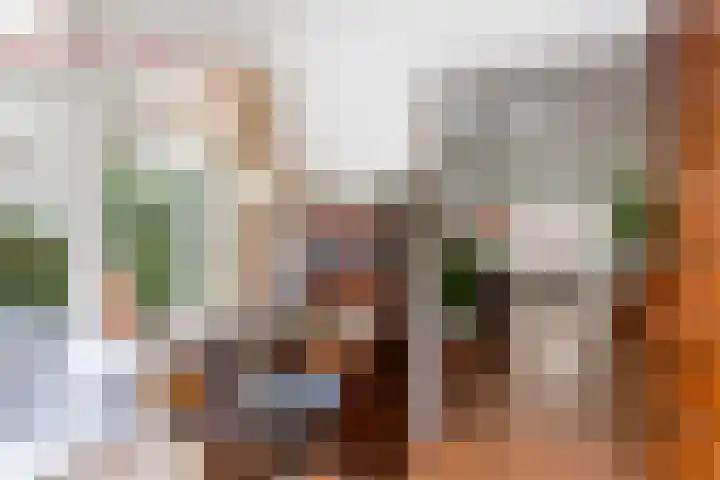 Jachtlaan 215 Apeldoorn thumbnail 9