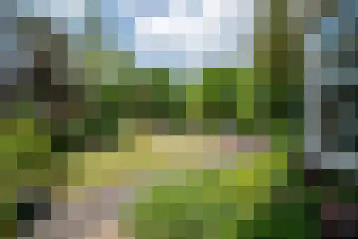Jachtlaan 22 Haren Gn thumbnail 11