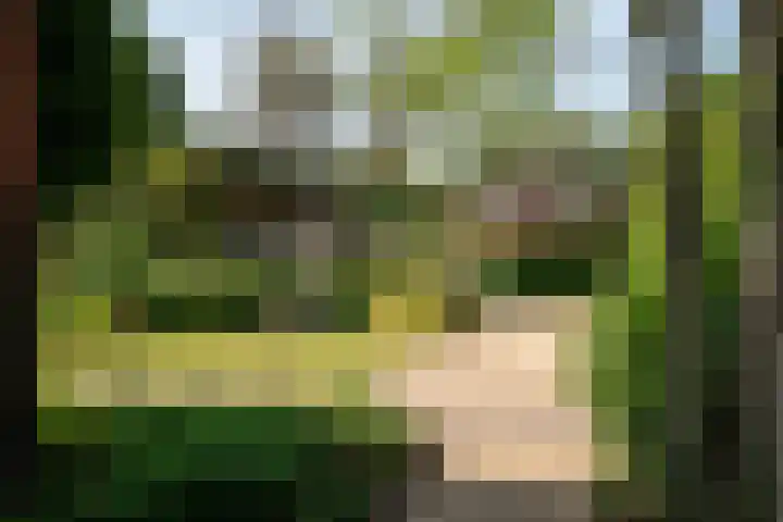Jachtlaan 22 Haren Gn thumbnail 12