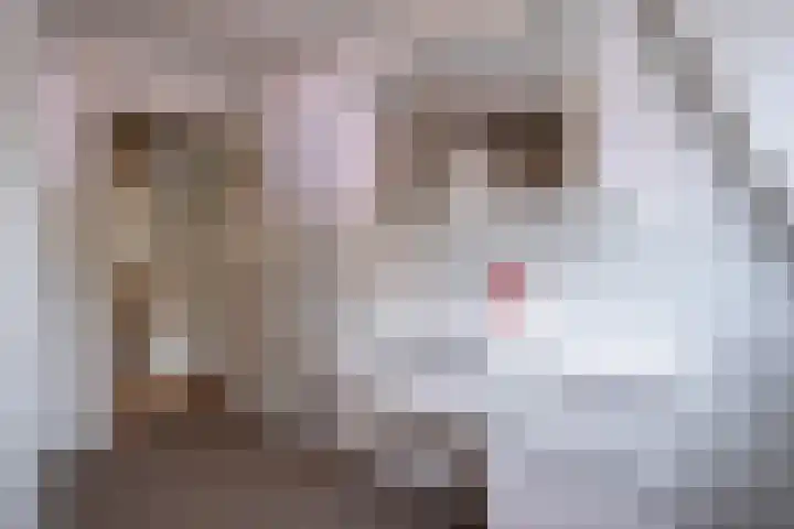 Jachtlaan 22 Haren Gn thumbnail 36