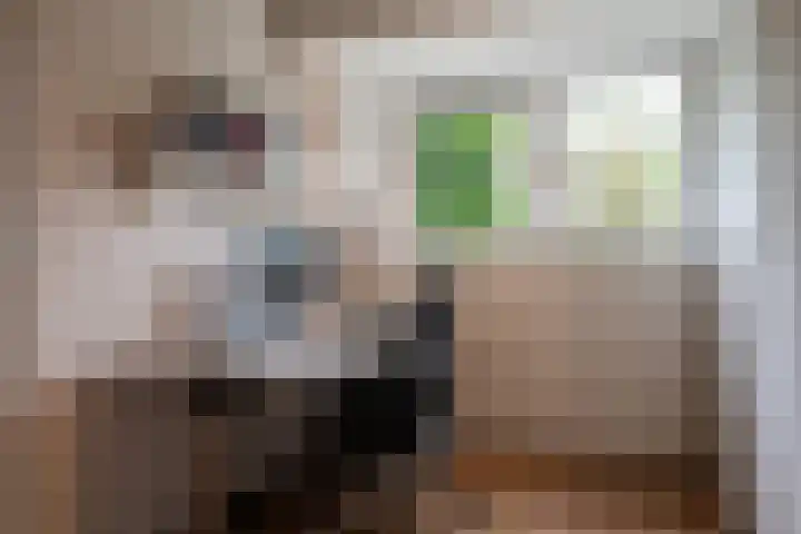 Jachtlaan 22 Haren Gn thumbnail 38