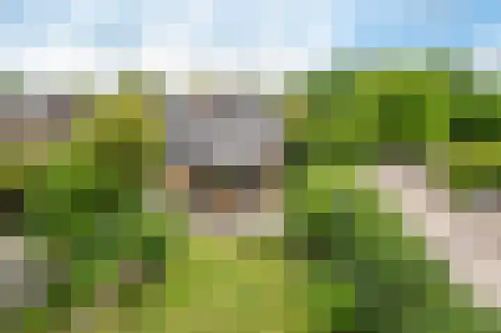 Jachtlaan 22 Haren Gn thumbnail 4