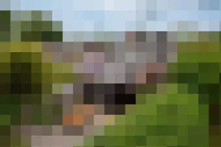 Jachtlaan 22 Haren Gn thumbnail 46