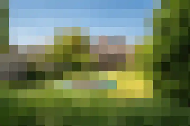 Jachtlaan 22 Haren Gn thumbnail 47