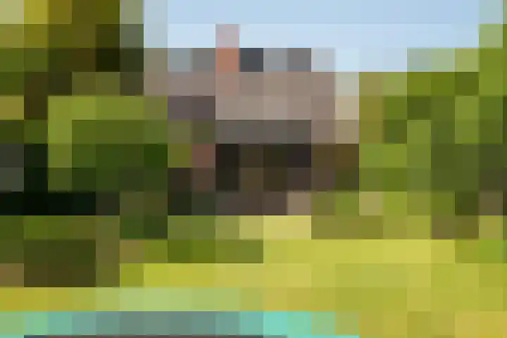 Jachtlaan 22 Haren Gn thumbnail 48