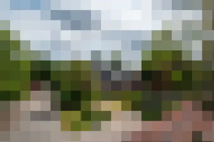 Jachtlaan 22 Haren Gn thumbnail 5