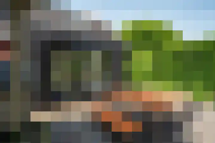 Jachtlaan 22 Haren Gn thumbnail 50