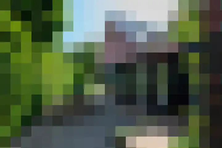 Jachtlaan 22 Haren Gn thumbnail 52