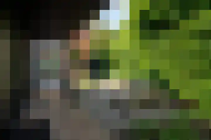 Jachtlaan 22 Haren Gn thumbnail 53