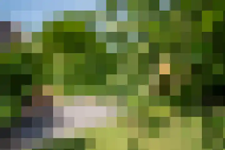 Jachtlaan 22 Haren Gn thumbnail 55