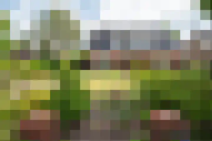 Jachtlaan 22 Haren Gn thumbnail 9