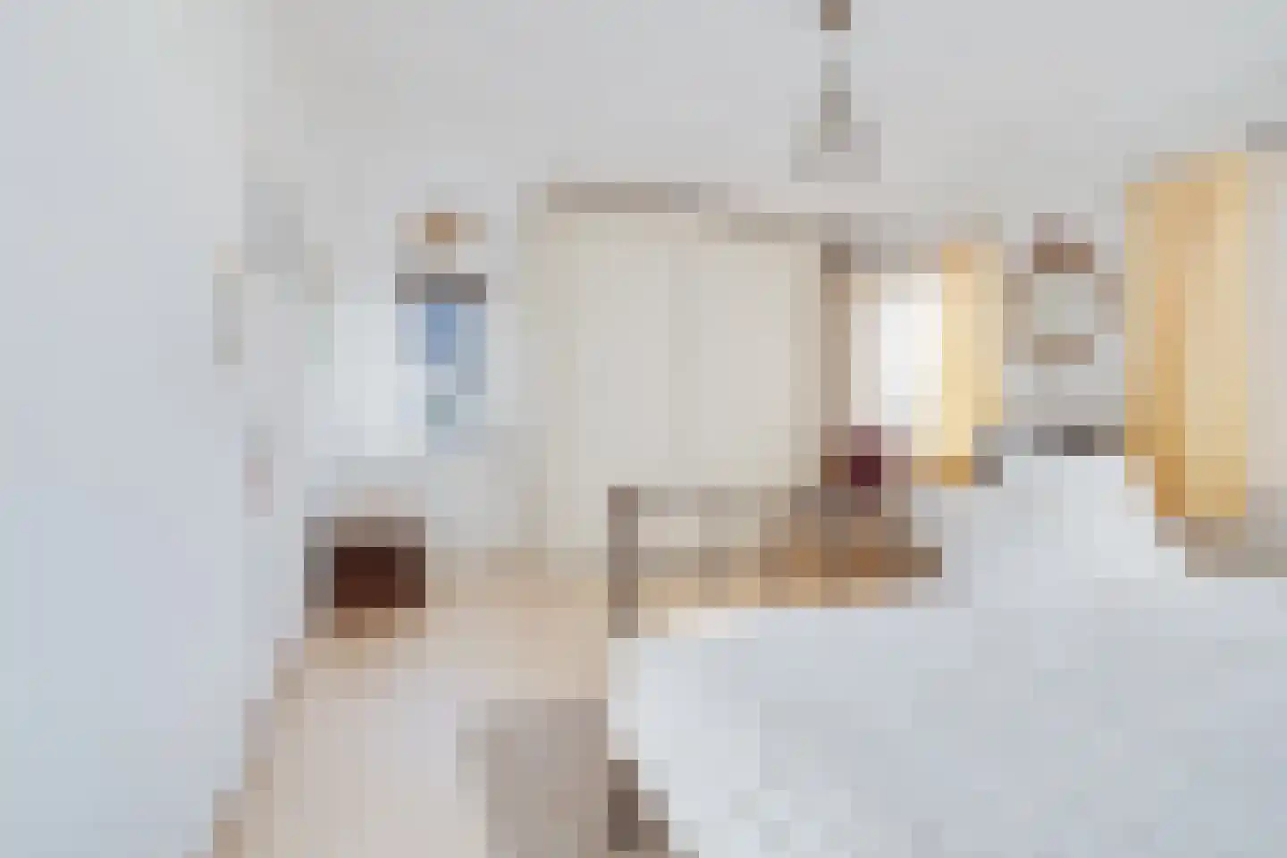 Jachtlaan 227 2 Apeldoorn thumbnail 20