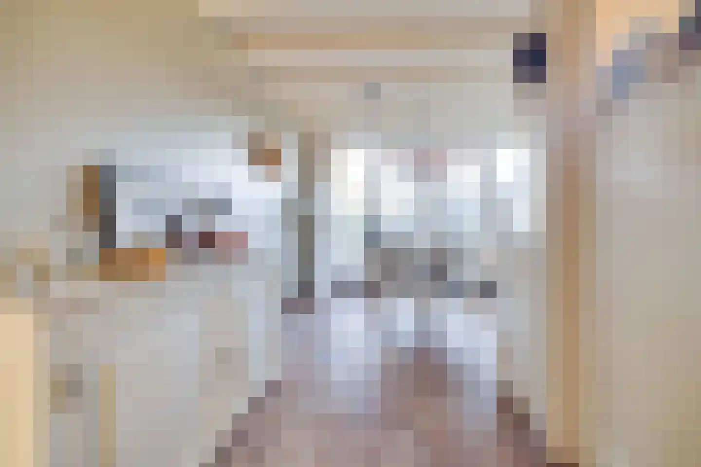 Jachtlaan 227 2 Apeldoorn thumbnail 9