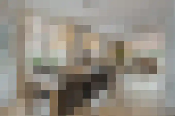 Jachtlaan 246 Apeldoorn thumbnail 11