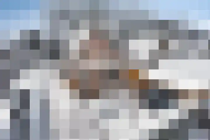 Jachtlaan 246 Apeldoorn thumbnail 31