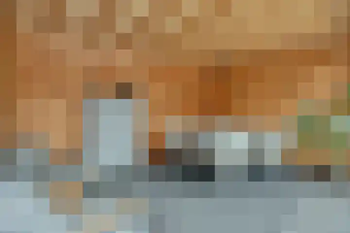Jachtlaan 246 Apeldoorn thumbnail 34