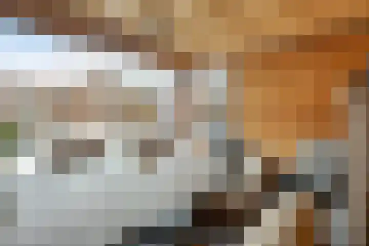 Jachtlaan 246 Apeldoorn thumbnail 35