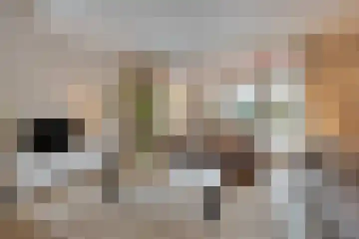 Jachtlaan 246 Apeldoorn thumbnail 5