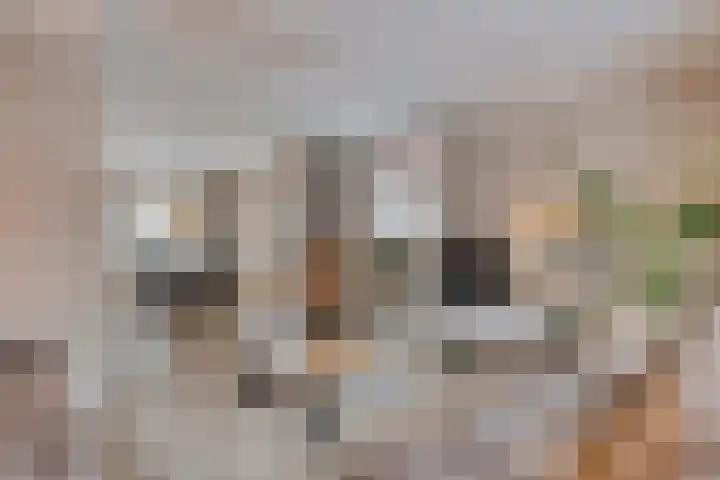 Jachtlaan 246 Apeldoorn thumbnail 6