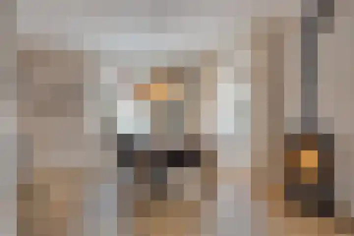 Jachtlaan 246 Apeldoorn thumbnail 7