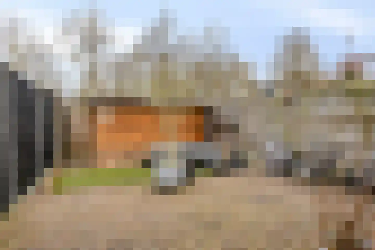 Jachtlaan 259 E Apeldoorn thumbnail 13