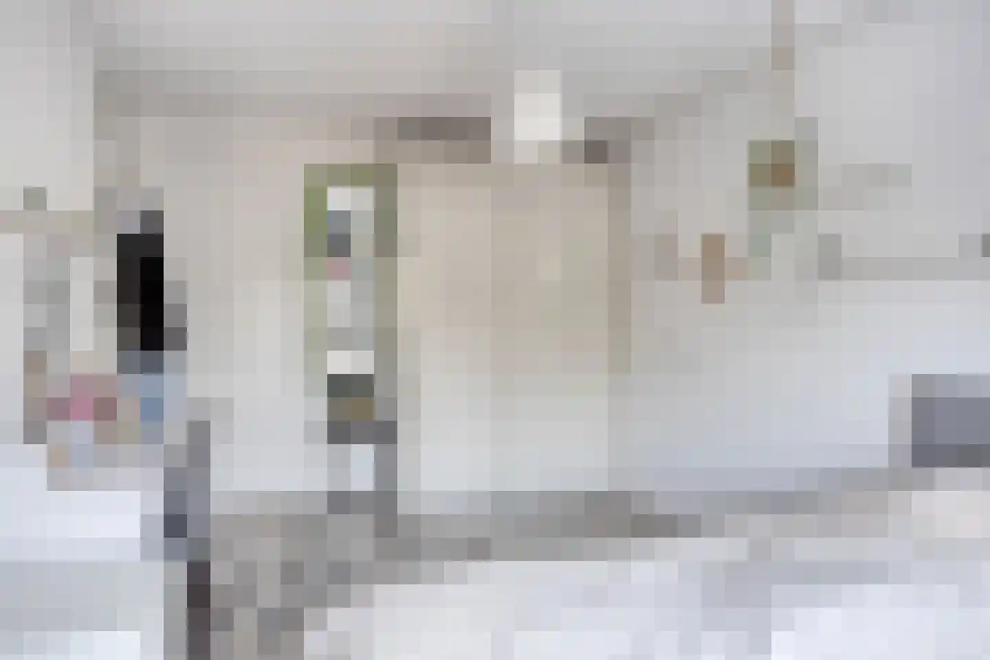 Jachtlaan 259 E Apeldoorn thumbnail 21