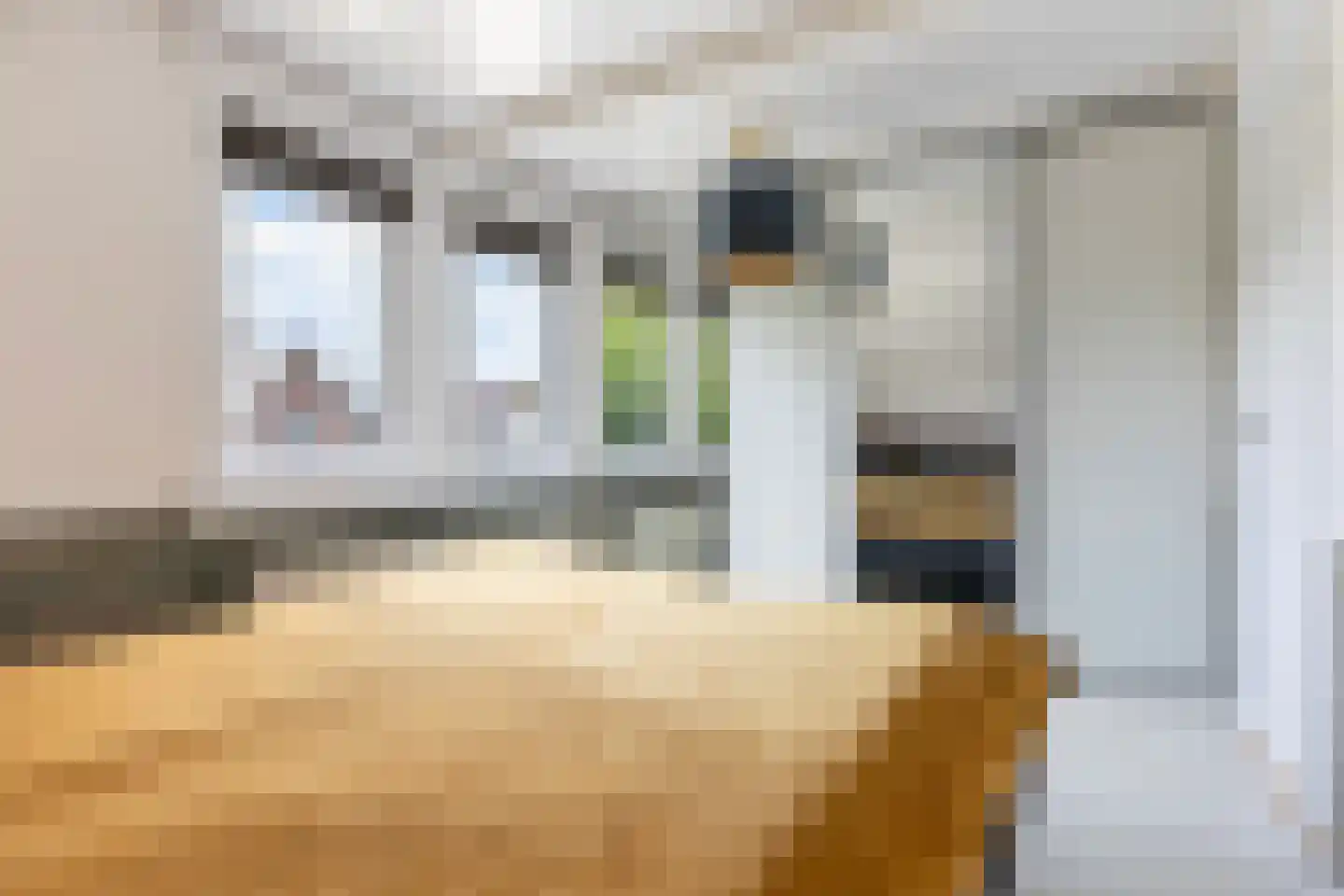 Jachtlaan 273 Apeldoorn thumbnail 23