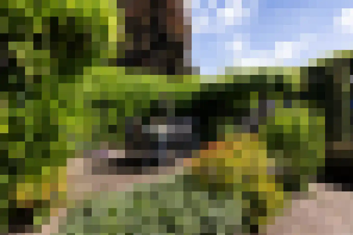 Jachtlaan 273 Apeldoorn thumbnail 30
